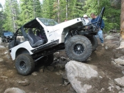 tom_in_the_rock_garden_part_3