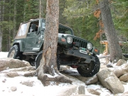 bob_between_the_trees_part_1