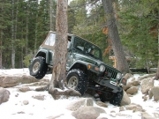 bob_between_the_trees_part_2