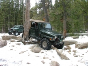 bob_between_the_trees_part_3