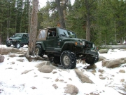 bob_between_the_trees_part_4