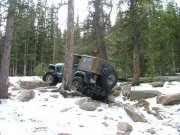 bob_between_the_trees_part_5