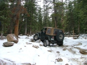 bob_up_the_rock_garden_part_4