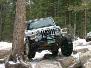 cheryl_between_the_trees_part_1