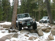 cheryl_between_the_trees_part_2