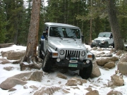 cheryl_between_the_trees_part_3