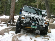 cheryl_between_the_trees_part_4