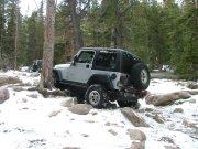 cheryl_between_the_trees_part_5