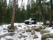 dane_between_the_trees_part_1