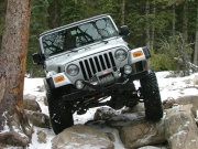 dane_between_the_trees_part_2