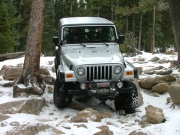 dane_between_the_trees_part_3