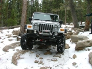 dane_between_the_trees_part_4