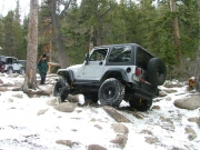 dane_between_the_trees_part_5