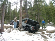 dane_between_the_trees_part_6