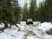 dane_up_the_rock_garden_part_3