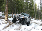 dane_up_the_rock_garden_part_5