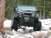 eric_between_the_trees_part_1