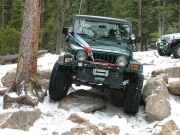 eric_between_the_trees_part_2