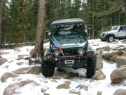 eric_between_the_trees_part_3