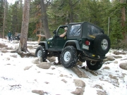 eric_between_the_trees_part_4