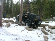 eric_between_the_trees_part_5