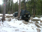 eric_between_the_trees_part_6