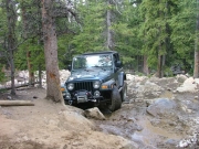 bob_in_the_rock_garden_part_2