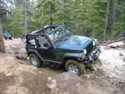 bob_in_the_rock_garden_part_4