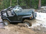 bob_in_the_rock_garden_part_8