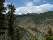 early_view