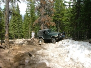 eric_in_the_rock_garden_part_7