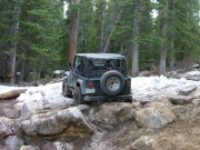 jed_in_the_rock_garden_part_6