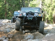 austin_in_the_rock_garden_part_1