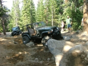 austin_in_the_rock_garden_part_4