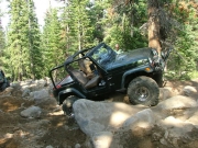 austin_in_the_rock_garden_part_5