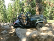 austin_in_the_rock_garden_part_6