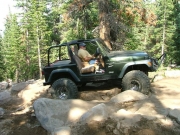 austin_in_the_rock_garden_part_7