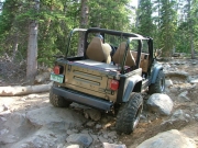 austin_in_the_rock_garden_part_8