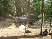 jon_in_the_rock_garden