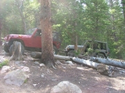 pat_and_jon_in_the_rock_garden