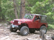 pat_in_the_rock_garden