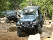 patrick_in_the_rock_garden_part_2