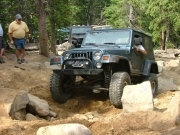 patrick_in_the_rock_garden_part_3