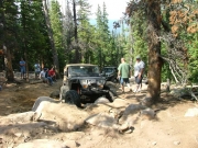 robert_in_the_rock_garden_part_2