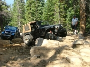 robert_in_the_rock_garden_part_3