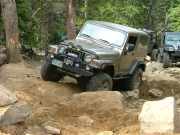 walt_in_the_rock_garden_part_1