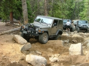 walt_in_the_rock_garden_part_2