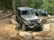 walt_in_the_rock_garden_part_3