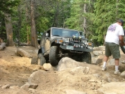 walt_in_the_rock_garden_part_4