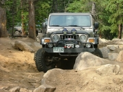 walt_in_the_rock_garden_part_5